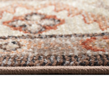 Load image into Gallery viewer, Liora Manne Ariana Floral Medallion Indoor Area Rug Earth