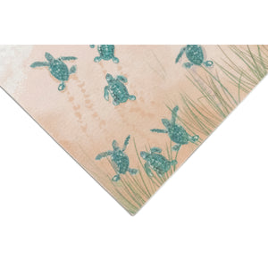 Liora Manne Illusions Turtle Beach Indoor Outdoor Mat Aqua