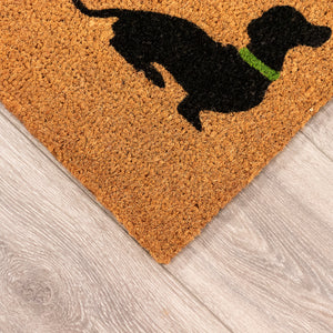 Liora Manne Natura Best In Show Outdoor Door Mat Natural