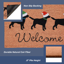 Load image into Gallery viewer, Liora Manne Natura Three Dogs Holiday Outdoor Door Mat Natural 1&#39;6&quot; x 2&#39;6&quot;