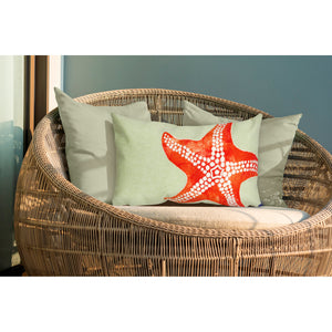 Liora Manne Visions II Starfish Indoor Outdoor Decorative Pillow Seafoam